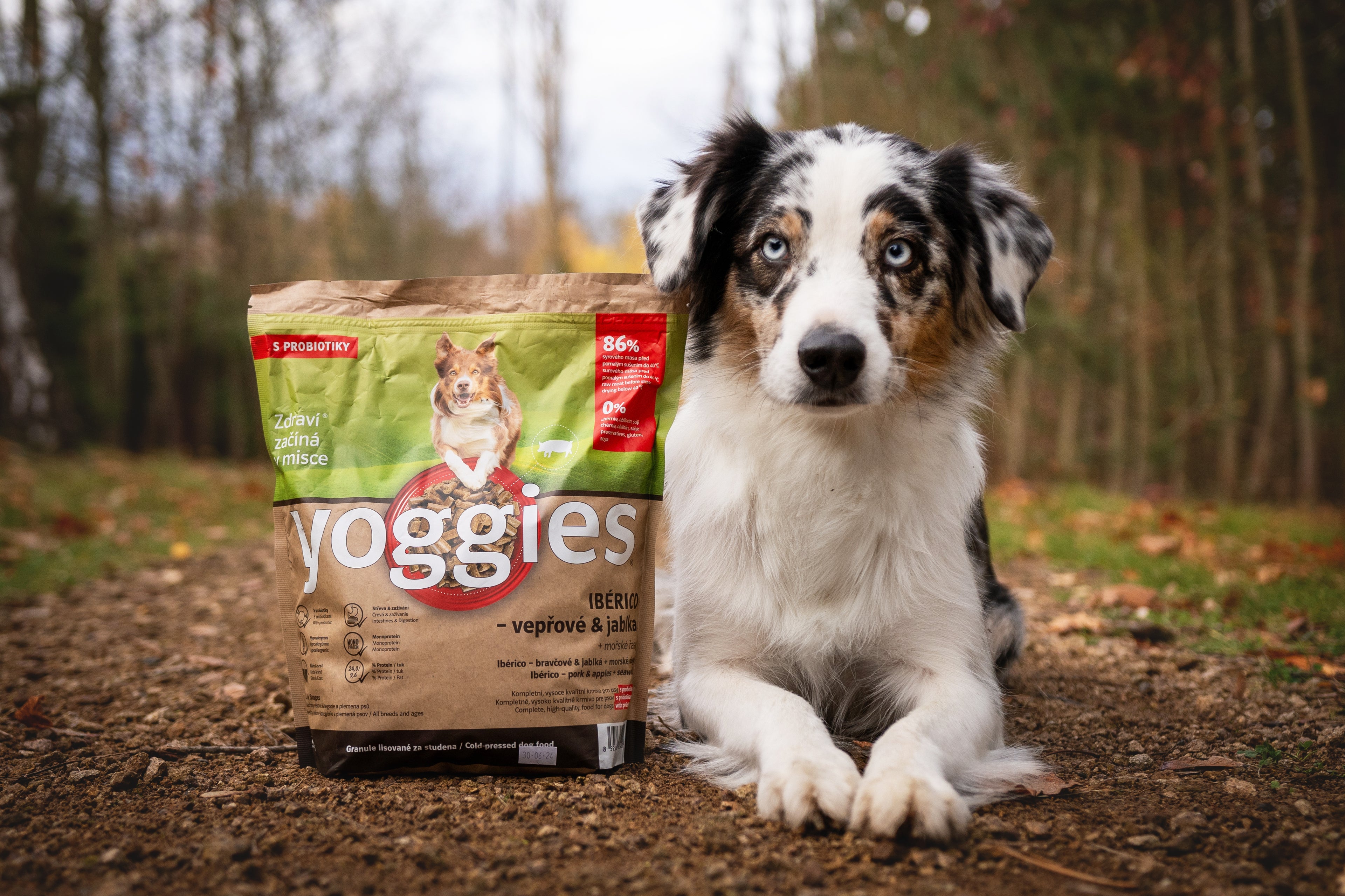 Yoggies
