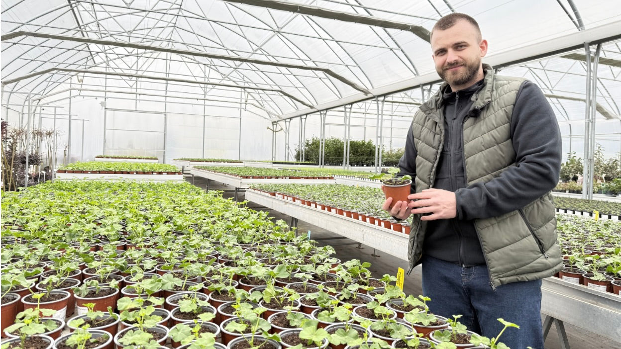 Zaremo (Duč Plant)