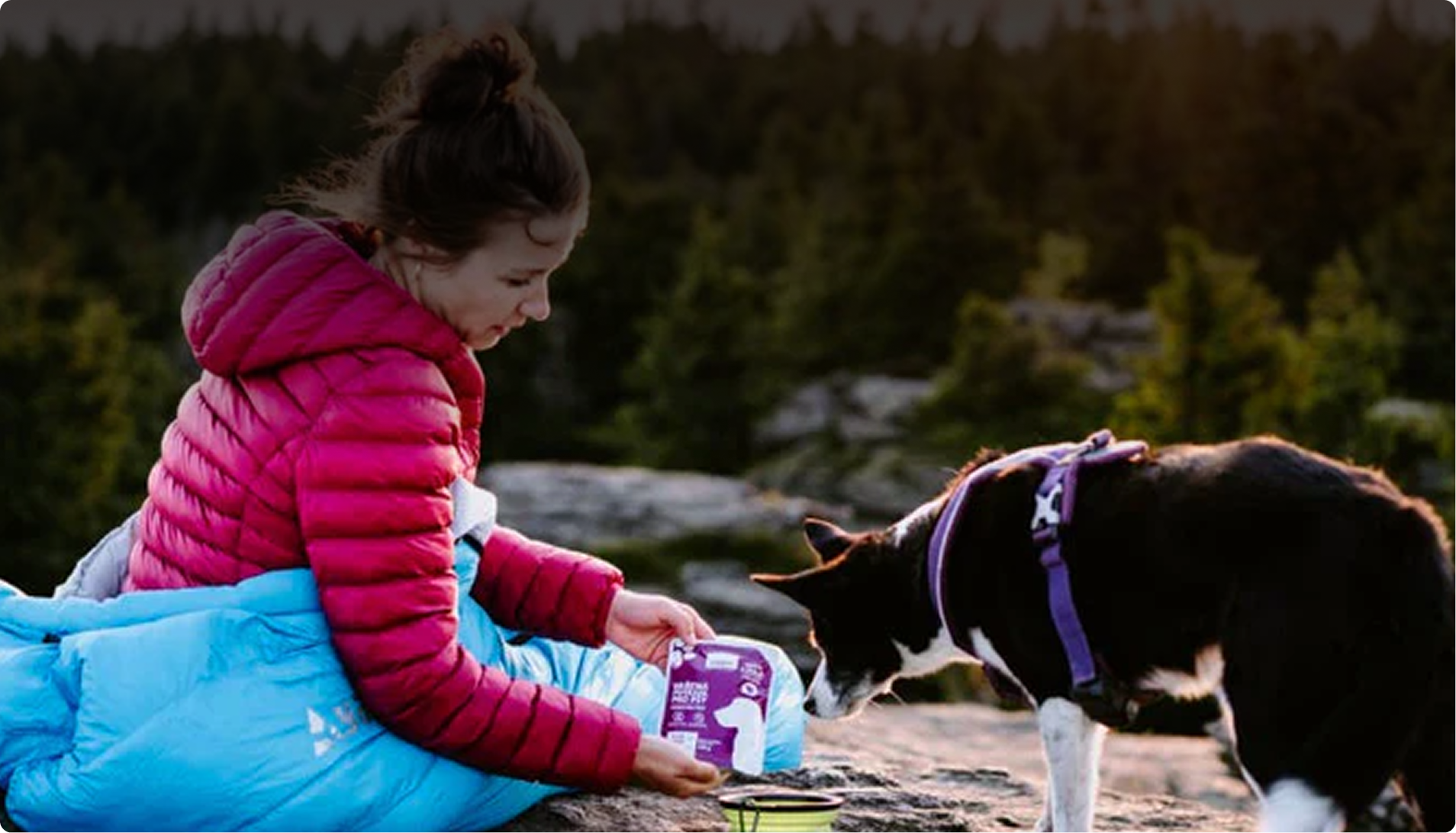 Yoggies online store consistently exceeds a 7% conversion rate